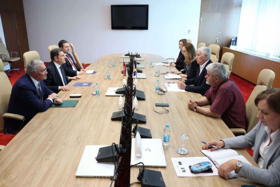Members of the Friendship Group for Central and Eastern Europe of the Parliamentary Assembly of Bosnia and Herzegovina met with the Deputy Minister of Foreign Affairs of the Republic of Armenia